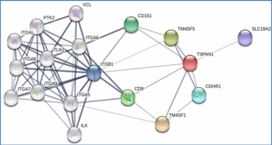 exosomes