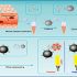 exosomes