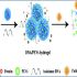exosomes