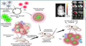 exosomes
