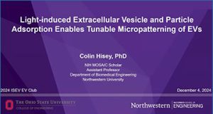 exosomes