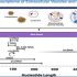 exosomes