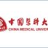 china medical university