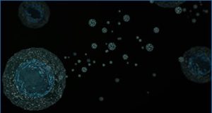 exosomes