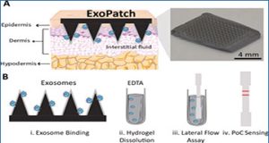 exosomes