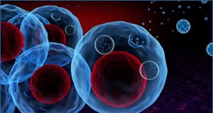 exosomes