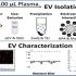 exosomes
