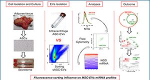 exosomes