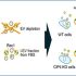 exosomes