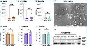 exosomes