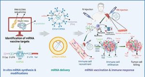 exosomes