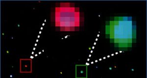 exosomes