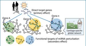 exosomes