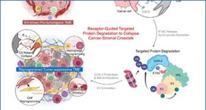 exosomes